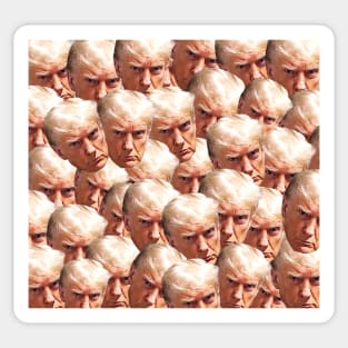 Trump's mug shot pattern Sticker